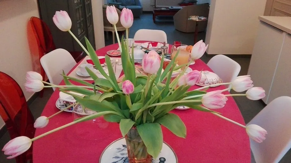 B&B Le 36 Brussels Bed & Breakfast